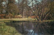 England Windsor Great Park Savill Garden Lower Pond Springtime - Windsor