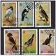 WWF Tropische Vögel 1980 Belize 493/8 O 10€ Jabiru Meise Tyrann Faulvogel Adler Tungare Hoja Fauna Birds Set Bf Honduras - Gebruikt