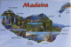Archipelago Madeira Islands Waterfall Lighthouse Portugal Souvenir Fridge Magnet - Tourisme