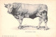 SINNENTHALER - STIER - Vache - Carte Postale Ancienne - Cows