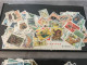 LOT  De  1000  TIMBRES   DIVERS   " ANIMAUX - FLEURS - AVIONS-VOITURES - BATEAUX - TRAINS - OISEAUX.... NEUFS -OBLITERES - Vrac (min 1000 Timbres)