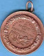 Belgique  (PHILIPPEVILLE) Médaille AVERS « LEOPOLD II ROI DES BELGES » - REVERS « COMICE AGRICOLE/DU CANTON DE ----> - Autres & Non Classés