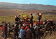 Arbois Vendanges Tracteur Domaine De Sorbier - Tracteurs