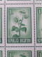 Plancha Completa 100 Estampillas Argentinas – 1 Centavo – Año 1971 – Imagen: Girasol – Sin Usar - ENVÍO GRATIS - Blocs-feuillets