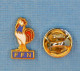 1 PIN'S //  ** F.F.N. / FÉDÉRATION FRANÇAISE DE NATATION ** - Zwemmen