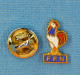 1 PIN'S //  ** F.F.N. / FÉDÉRATION FRANÇAISE DE NATATION ** - Zwemmen