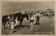 Noordwijk Aan Zee // Strandleven (Paarden) 195? - Noordwijk (aan Zee)