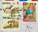 SOUTH AFRICA  2002, ILLUSTRATE BIRD COVER,  USED TO INDIA, 3 STAMP BIRD & ANIMAL,  PRETORIA CITY SLOGAN CANCEL. - Covers & Documents