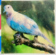 SOUTH AFRICA  2002, ILLUSTRATE BIRD COVER,  USED TO INDIA, 3 STAMP BIRD & ANIMAL,  PRETORIA CITY SLOGAN CANCEL. - Briefe U. Dokumente