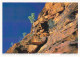 AK149991 AUSTRALIA - Northern Territory - Palm Valley Im Finke Gorge N. P. - Unclassified