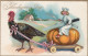 Thanksgiving Greetings, Turkey Pulls Pumpkin With Chef Holding Giant Knife And Fork, C1900s Vintage Tucks #123 Postcard - Thanksgiving