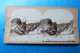 Delcampe - Stereoview Stereoscoop Lot X 5 Foto Cards C.H.Graves Philadelphia  The Universal Photo Art Co. - Stereoscopic