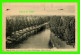 PETERBOROUGH, ONTARIO - VIEW OF CANAL FROM TOP OF LIFT LOCKS - TRAVEL IN 1947 - PECO - - Peterborough