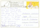 CPM- ISLAS CANARIAS - JANDIA - Dune Spectaculaire * Timbre Cervantes **2 Scans - Otros & Sin Clasificación