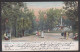 Savannah G. Forsyth Park, Card Color 1909 USA - Savannah