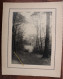 Photo 1920's Sentier Forestier Forêt France Tirage Print Vintage - Antiche (ante 1900)