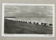 JUDAICA RPPC JEWISH POSTCARD POSTKARTE BY ELIAHU BROS NO. 323 TEL AVIV, THE BEACH. V. PALESTINE, ISRAEL - Palestine