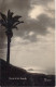 ESPAGNE - Tenerife - Puesta De Sol - Carte Postale Ancienne - Tenerife