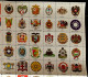 COAT OF ARMS - UNITED STATES 1965 - VIGNETTE,CINDERELLA - FULL SHEET - MNH**VF - Andere & Zonder Classificatie