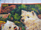 Torchon Publicitaire 1983 Meubles Morice Saint-Brieuc (22) - Petits Chiens  Made In France - Sonstige & Ohne Zuordnung