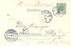 Gruß Aus Belzig Mehrbild Litho Gel.1898 AKS - Belzig