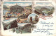Gruss Aus Ziegenrück A.d.Saale - Mehrbild Litho Gel.1902 AKS - Ziegenrück