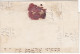 186? BULGARIA DANUBE STEAM NAVIGATION COMPANY DDSG FOLDED LETTER FROM OREAVA TO RUSTZUK. - Briefe U. Dokumente