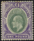1906 MCCA £1 Green & Violet, M (some Minor Tones At Top), SG.32, Cat. £350 - Altri & Non Classificati