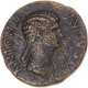 Monnaie, Antonia, Dupondius, 41-45, Rome, TTB, Bronze, RIC:92 - Les Julio-Claudiens (-27 à 69)