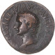 Monnaie, Tibère, Sous Titus, As, 80-81, Rome, TB+, Bronze, RIC:435 - La Dinastia Flavia (69 / 96)