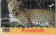 CARTE-PREPAYEE-120U-WOODLANDS-LEOPARD-31/01/1998-Plastic Epais Glacé-Gratté-TBE - Dschungel