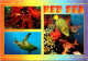 9-8-2023 (2 T 3) Res Sea Turtle & Fish (Tortue Et Poissons) - Turtles