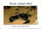 9-8-2023 (2 T 3) Indonesia - Turtle Island Park - Tortues