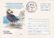 TUFTED PUFFIN, ARCTIC WILDLIFE, NORTH POLE, SUBMARINES AT NORTH POLE POSTMARK, COVER STATIONERY, 1996, ROMANIA - Arctic Wildlife
