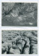 Delcampe - Lots No 2 & 3, 109 Modern Postcards, England, Wales, Scotland, Gibraltar, Ireland, FREE REGISTERED SHIPPING - Sammlungen & Sammellose