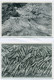 Delcampe - Lots No 2 & 3, 109 Modern Postcards, England, Wales, Scotland, Gibraltar, Ireland, FREE REGISTERED SHIPPING - Collections & Lots