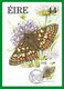 Irland / Eire 1985  Mi.Nr. 562 , Marsh Fritillary - Fauna And Flora Series - Maximum Card - First Day II.IV.1985 - Cartoline Maximum