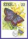 Irland / Eire 1985  Mi.Nr. 559 , Common Blue - Fauna And Flora Series - Maximum Card - First Day II.IV.1985 - Cartes-maximum