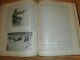 Delcampe - Völkerkunde Januar Bis Juni 1900 Gebundene GLOBUS Zeitschriften , Expedition , Kolonie , Reise , Berichte , Etnologie ! - 4. Neuzeit (1789-1914)