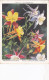 Garden Flowers New Varieties A, 1938 - 2 Aquilegia  - Wills Cigarette Card - Original Card - Large Size - Wills
