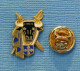 1 PIN'S // ** LOGO / CLUBS TAURINS PAUL RICARD ** - Stierkampf