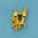 1 PIN'S // ** LOGO / CLUBS TAURINS PAUL RICARD ** - Tauromachie - Corrida