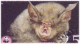 Mediterranean Horseshoe Bat, Rhinolophidae Family, Bats, Animal, Mammals, Cyprus Pictorial Cancellation Official FDC - Chauve-souris