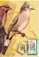 Roumanie 1992 Carte Maximum Double Recto-verso Oiseaux - Brieven En Documenten