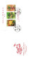 Delcampe - Taiwan Formosa Republic Of China FDC  -  Colourful Flowers Nature Environment Stamps - FDC