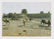 PR China 1980s View Postcard With Topic Stamp Mi#1338 (70F), Sent Airmail To Bulgaria (53063-1) - Brieven En Documenten