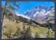 Fafleralp (Lötschental). Lötschenlücke, Sattelhorn Und Schinhorn - Saint-Luc