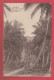 Moorea - Sous L'ombrage Des Cocotiers / Under The Shade Of The Coconnut Trees  ( Voir Verso ) - Polynésie Française