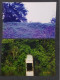 Delcampe - Lote 42 Fotos Originales De Puerto Limon – Costa Rica - Amerika