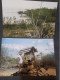 Delcampe - Lote 29 Fotos Originales Islas Galápagos (Ecuador) - America